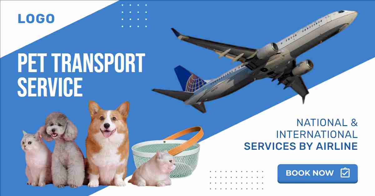 service-video-image